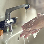 Antsteckung mit Toxoplasmose verhindern